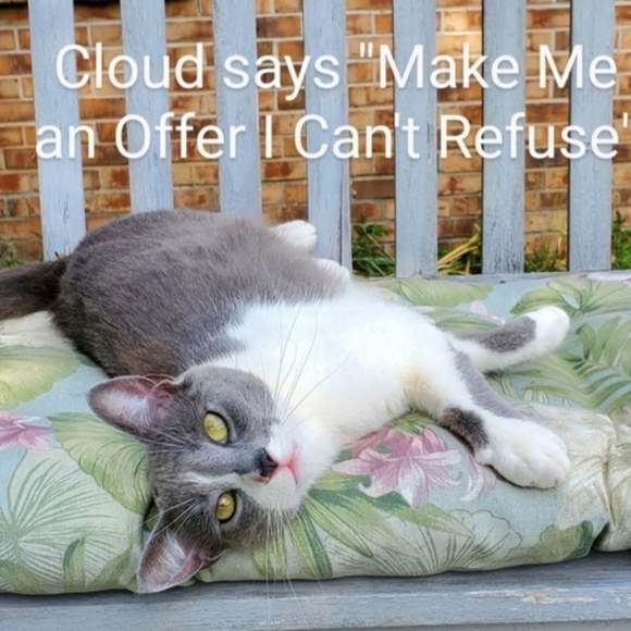 Lola River Pink and White Striped Linen Blend Top, Size Medium - Picture 9 of 9